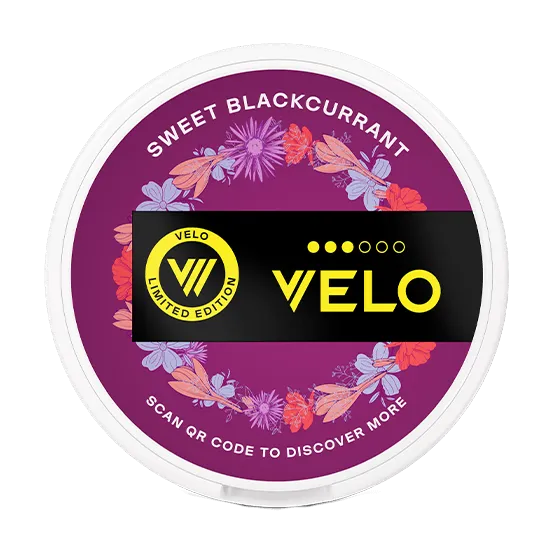 VELO Midsummer Sweet Blackcurrant Limited Edition - Vitt snus online - Bertil´s Snus